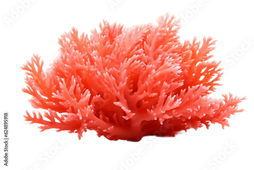 Orange Soft Coral Isolated on Transparent Background. AI