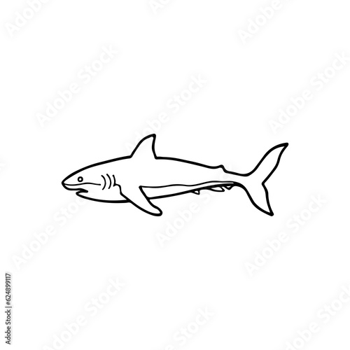 white shark concept vector illustration