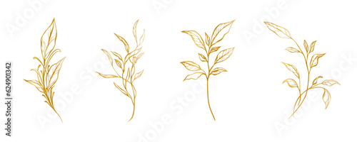 Botanical golden set of branches. Hand drawn leaves and herbals, wedding invitation and cards, logo design and posters template. Elegant minimal style floral vector isolated set