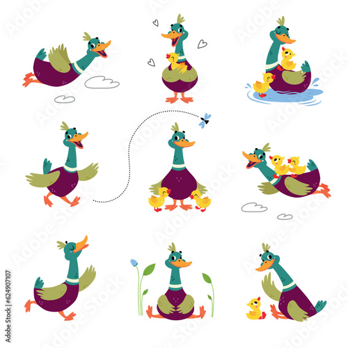 Funny Dabbling Duck Character Engaged in Different Activity Vector Set