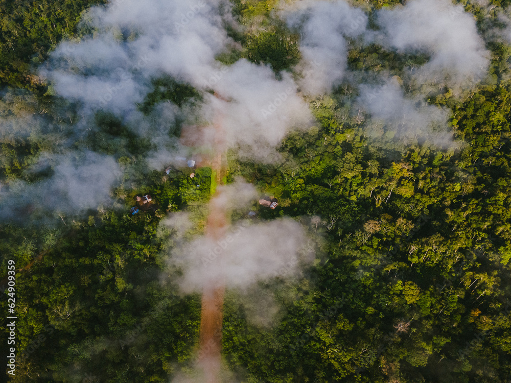 Drone view of green forest and fields with road Drone view of green forest and fields with road