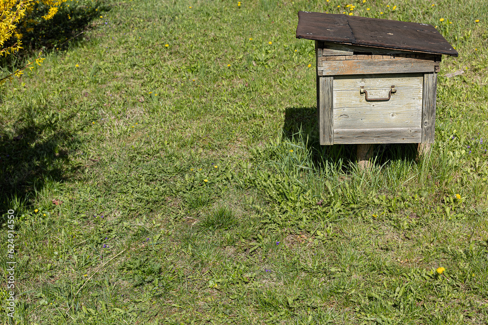 rectangular beehive on the grass on a sunny day rectangular beehive on the grass on a sunny day