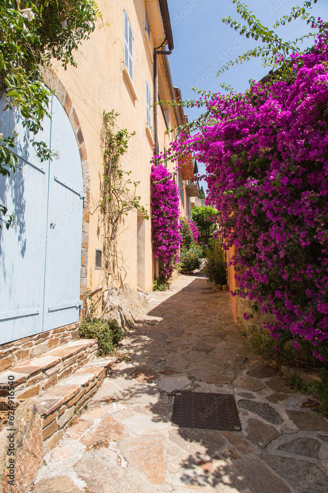 Mediterranean garden design and landscaping, Provence, France: Beautiful alley with natural stone paving and lush blooming bougainvilleas and green plants in a small village 