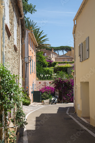 Mediterranean garden design and landscaping, Provence, France: Alley and facades beautifully planted with blooming bougainvilleas, agapanthus lilies, palms, pine trees and green plants in a village 