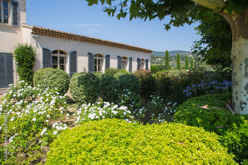 Mediterranean garden design and landscaping, Provence, France:Beautifully planted front garden of a winery with white roses, violet agapanthus lilies and various green plants and bushes and plane tree