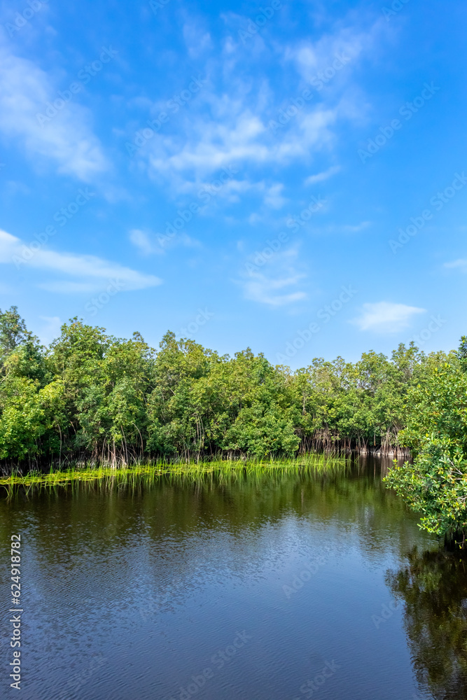 An evocative photograph of a scenic mangrove forest hugging the edge of a tranquil lake, with the brilliant blue sky creating a stunning backdrop.