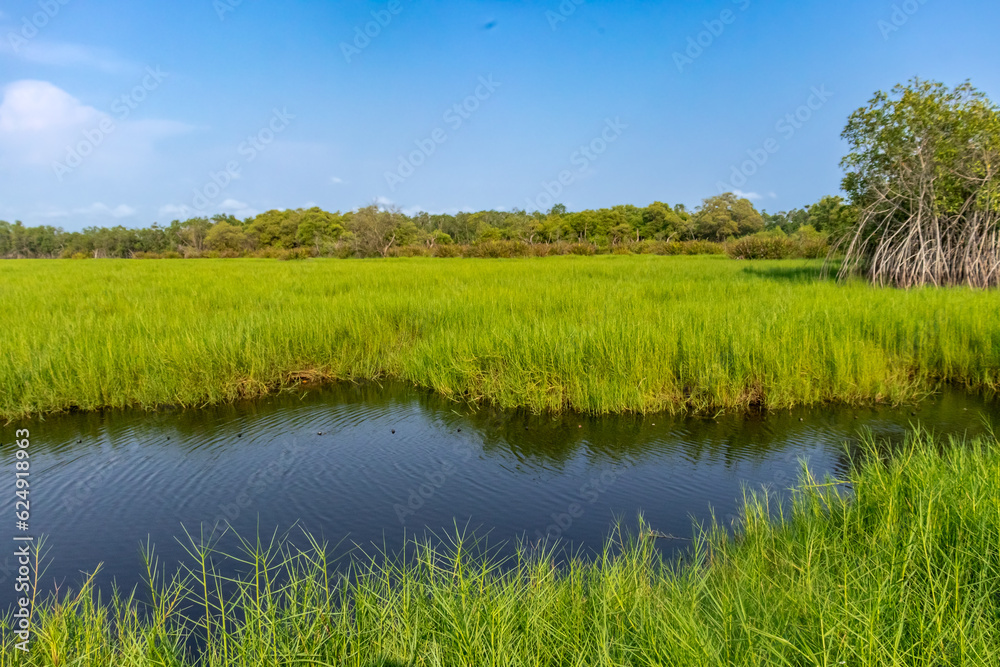 A captivating view of serene countryside, with a golden field, a small lake reflecting the blue sky and an atmosphere of tranquility.