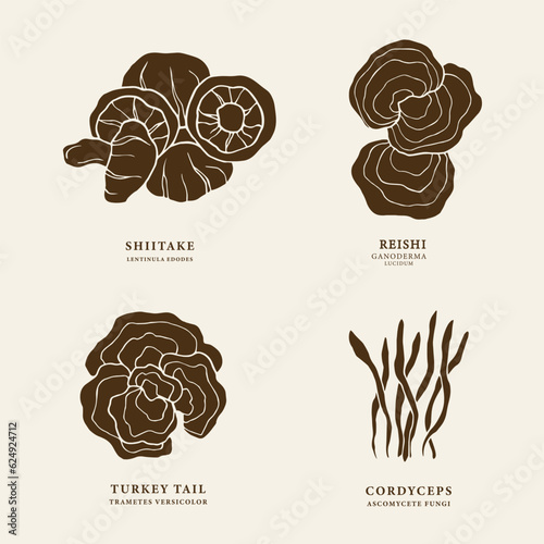Flat vector mushrooms. Shiitake, turkey tail, cordyceps, reishi