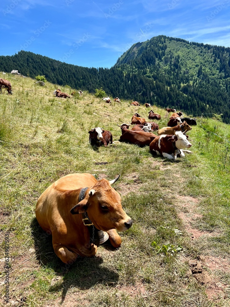 Fototapeta premium Haute-Savoie