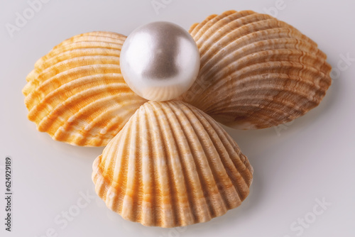 seashells and pearls on a light background