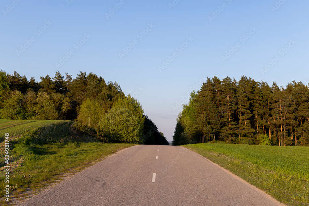 paved road in the spring season during sunset