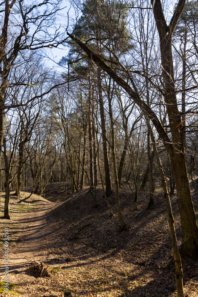 hilly territory with trees without foliage in the spring season hilly territory with trees without foliage in the spring season