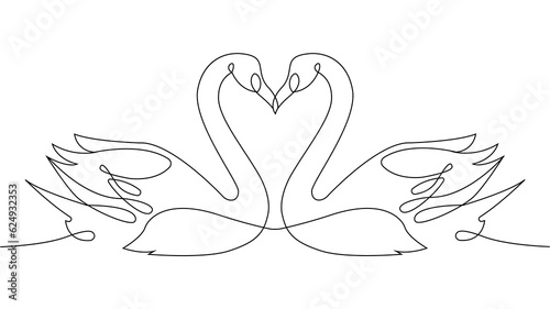 Continuous line swans concept