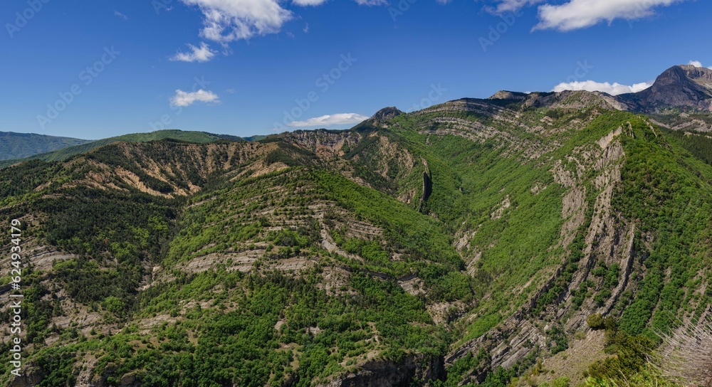 Panorama de ravins dans les Alpes avec de la forêt