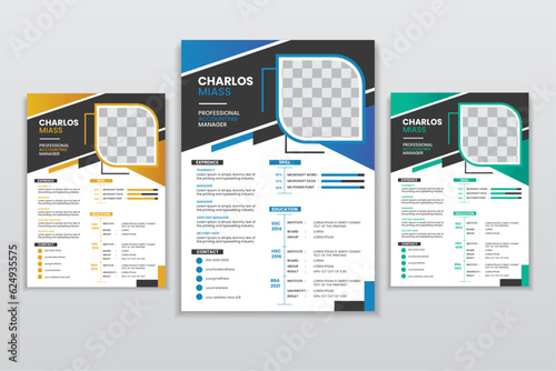 Professional Resume and Cover Letter Layout template