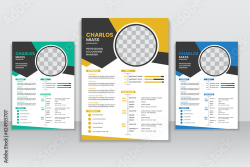 Modern CV / resume template yellow and black color