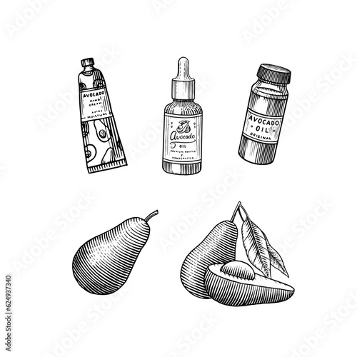 Tropical avocado. Set of evergreen fruit plant. Cosmetics for skin care. Organic oil in the bottle. Isolated Vector hand drawn. Vintage template for design. Engraved monochrome sketch