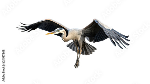 a Great Blue Heron, Ardea herodias, in flight, elegant Nature-themed, photorealistic illustration in a PNG, cutout, and isolated. Generative AI