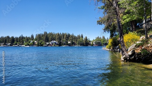 lake in the forest