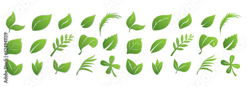 Print op canvas A set of green leaves on a white background with and without a shadow, for logos