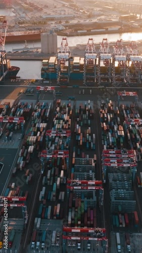 Wallpaper Mural Container terminal port aerial topdown. Aerial top view footage of container terminal. Industrial cargo port. Logistic center. Industrial cargo port. Vertical video background, vertical video.  Torontodigital.ca