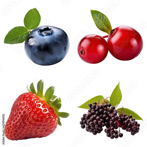 collection of various ripe fresh berries on the vine  freshly picked and isolated on a transparent background  generative ai