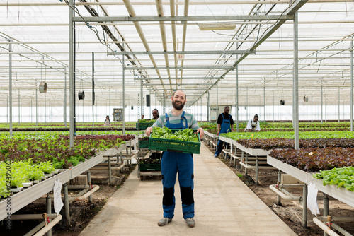 Happy farmer in busy modern entrepreneurial eco greenhouse farm used for growing local healthy eco food. Energy efficient regenerative agriculture using pesticide free soil fertilizer