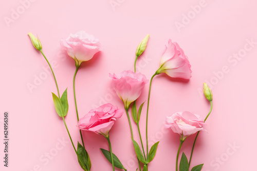 Fototapeta Naklejka Na Ścianę i Meble -  Beautiful pink eustoma flowers on color background