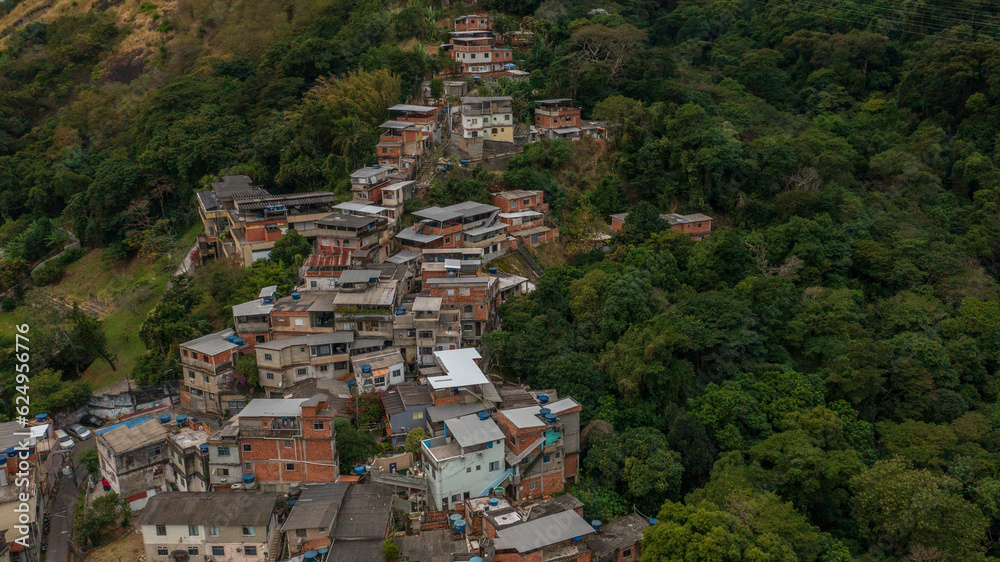 Fototapeta premium The contrast between the advance of the city with irregular housing on the slopes of the mountains and the Atlantic Forest in the city of Rio de Janeiro.