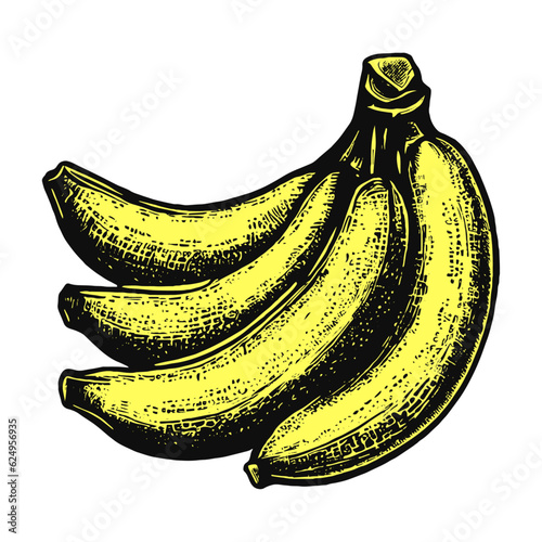 bunch of bananas illustration