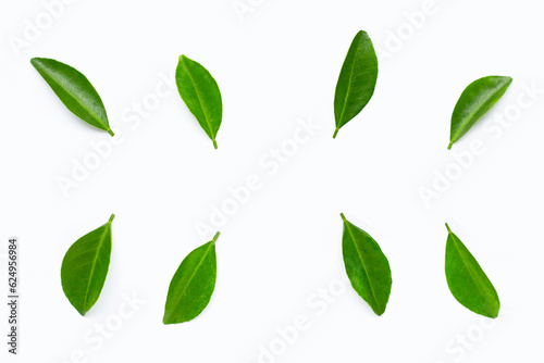 Limes leaves isolated on white background.