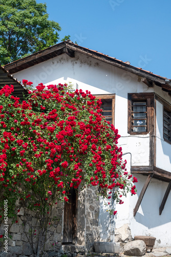 The old town of city of Plovdiv  Bulgaria