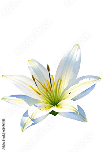white water lily isolated png