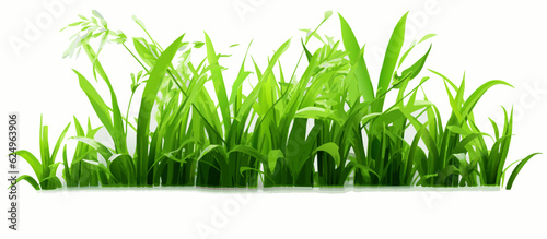 green grass vector, bush