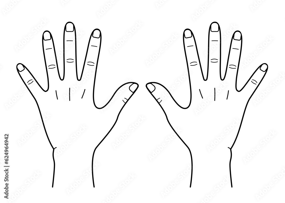 Vector line drawing illustration of the back of two hands
Vector line drawing illustration of the back of two hands
