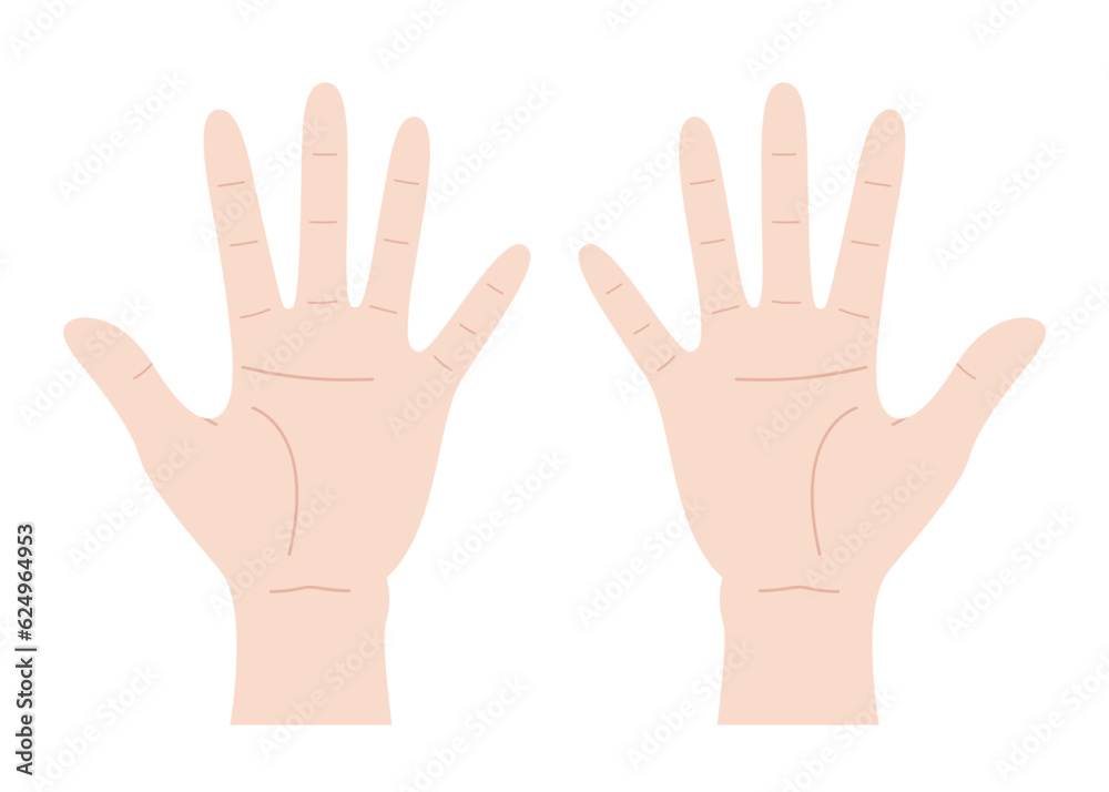 Vector illustration of two hands with open palms