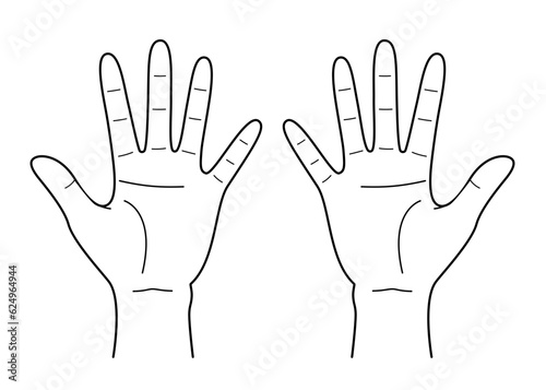 Vector line drawing illustration of two hands with open palms