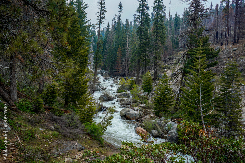 Clover Creek in Sequoia National Park. Clover Creek in Sequoia National Park.