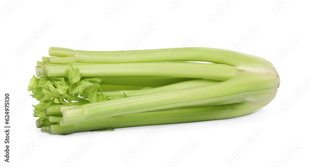 Fresh ripe green celery isolated on white Fresh ripe green celery isolated on white