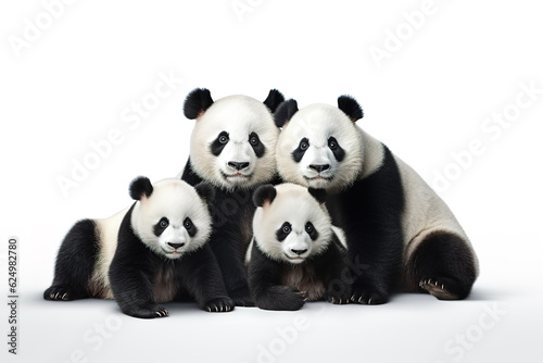 Image of family group of pandas on white background. Wildlife Animals. Illustration  Generative AI.