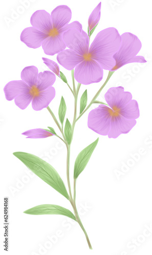 Purple Small Flowers in a bouquet with transparent background