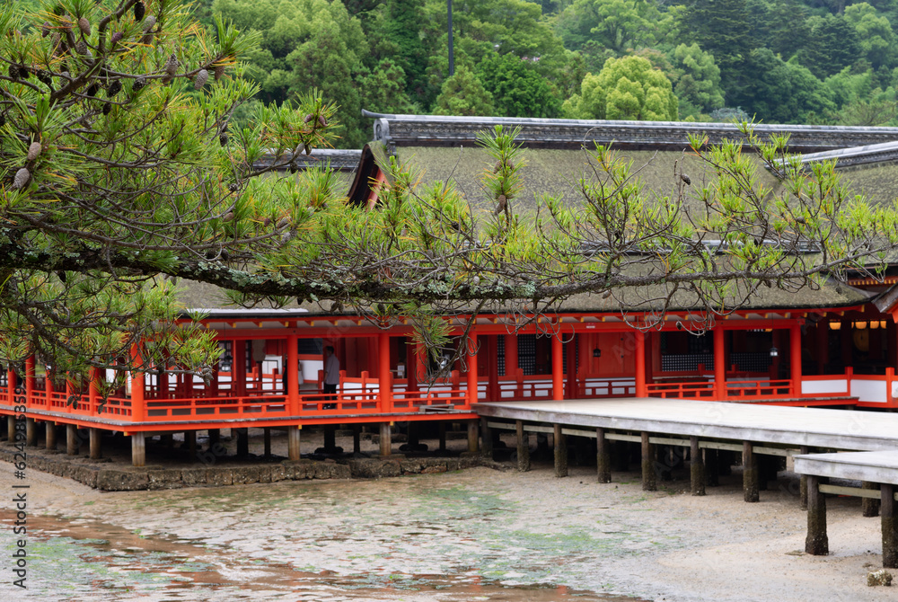 赤い神社の回廊 赤い神社の回廊