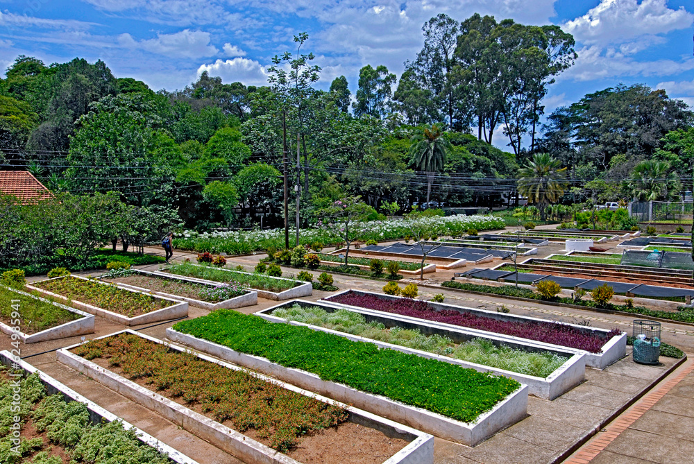 Viveiro de plantas Manequinho Lopes. Parque do Ibirapuera. São Paulo.