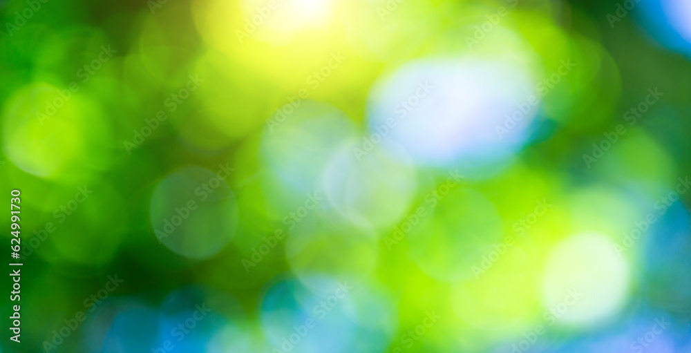 Obraz premium Natural green background with bokeh circles