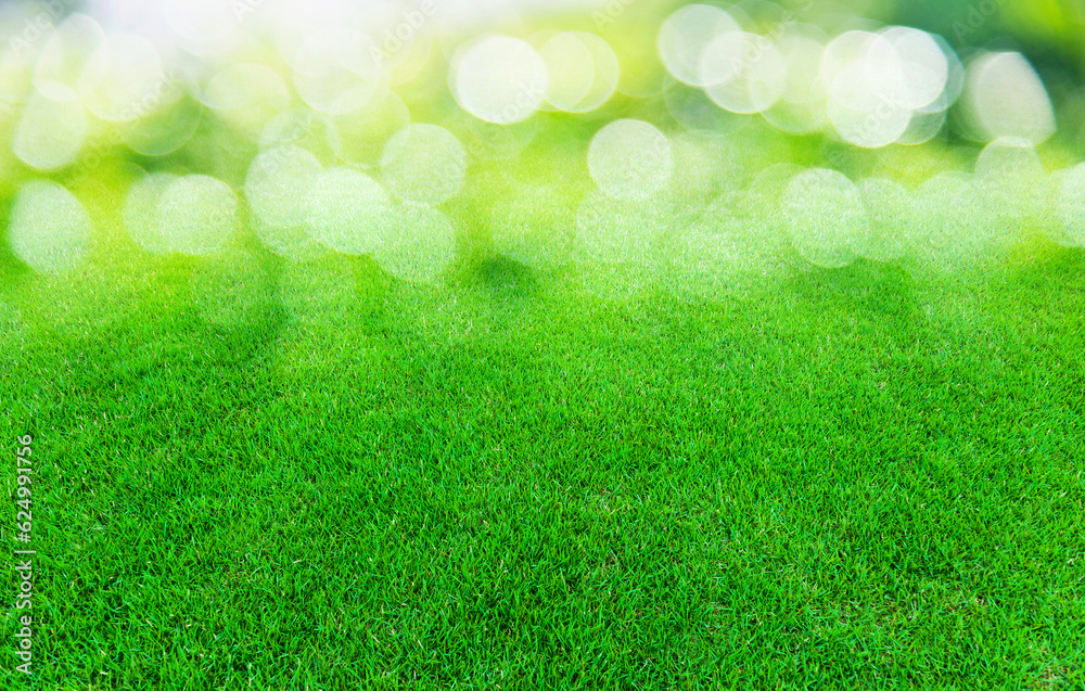 Natural green trimmed grass field