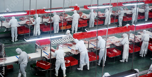 Fotografía Group of workers working in a line in pork industry plant