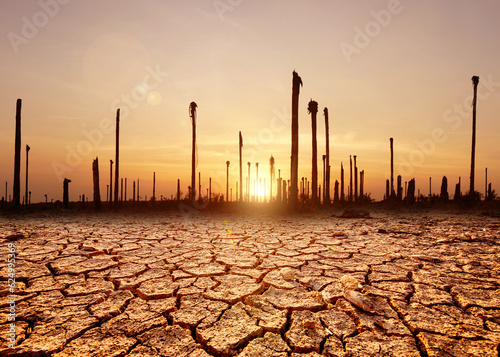 The concept of drought crisis and water scarcity due to global warming and environmental change.