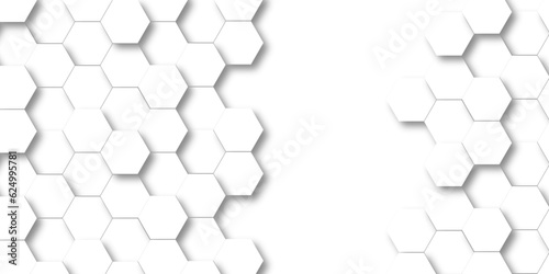 Fototapeta Naklejka Na Ścianę i Meble -  Background with white and black lines 3d Hexagonal structure futuristic white background and Embossed Hexagon , honeycomb white Background ,light and shadow ,Vector. 