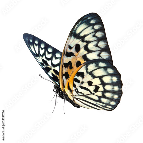 Beautiful butterfly isolated on white background.