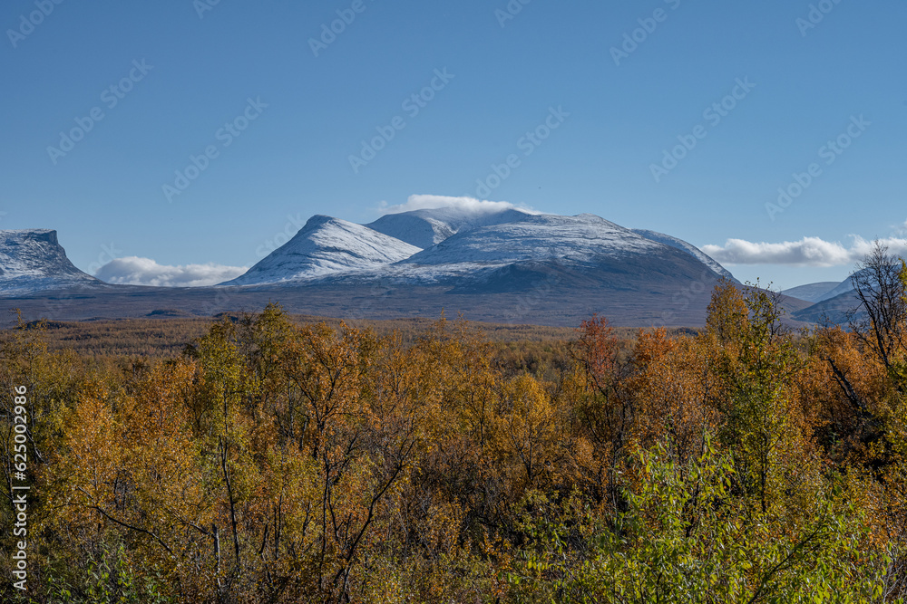 Autumn season in Abisko with mountains in background, Abisko, Swedish Lapland, Sweden